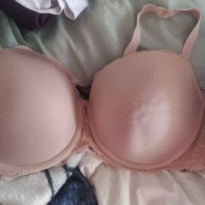 Torrid bra